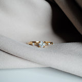 Avery Ring in Gold